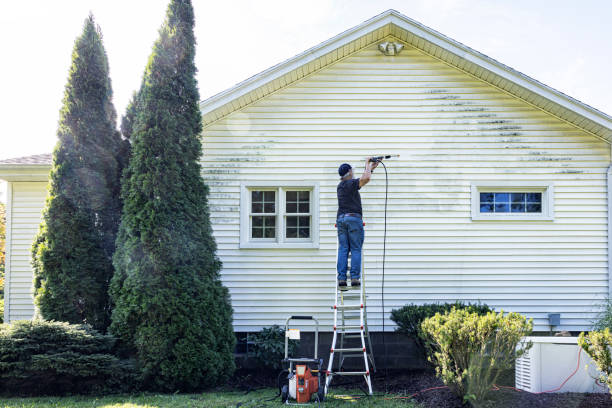 Best Historic Building Restoration  in Ladonia, AL